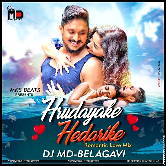 HRUDAYADA HEDARIKE ROMANTIC LOVE MIX [DJ MD BELAGAVI ft.mp3