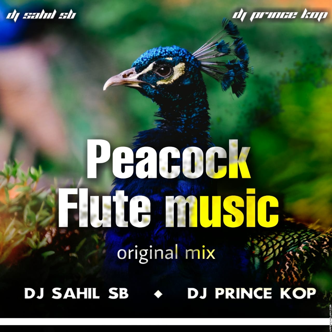 Peacock Flute Music Original Mix - Dj Sahil Sb And Dj Prince Kop.mp3